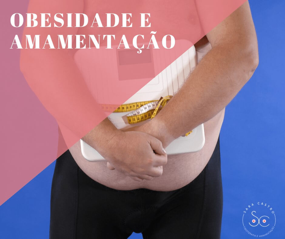 obesidade e amamentação sara castro amamentação