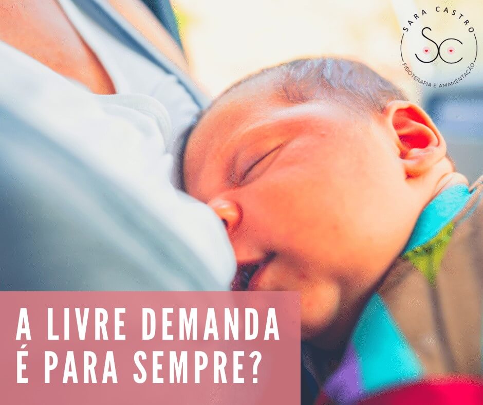 livre demanda para sempre sara castro amamentação